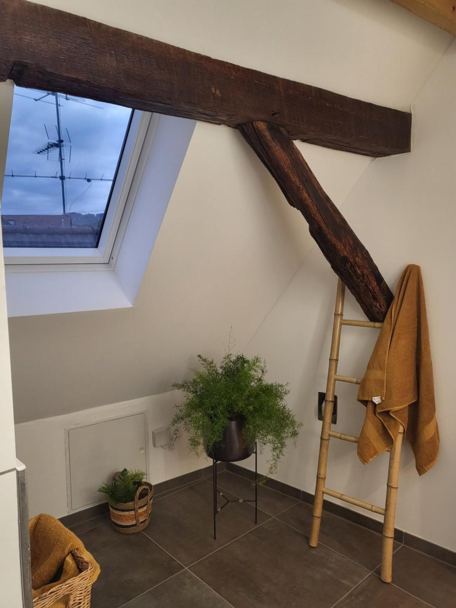 Ferienwohnung Im Rebstock Nr.1 Bahlingen  المظهر الخارجي الصورة